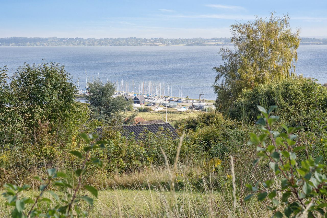 image 02